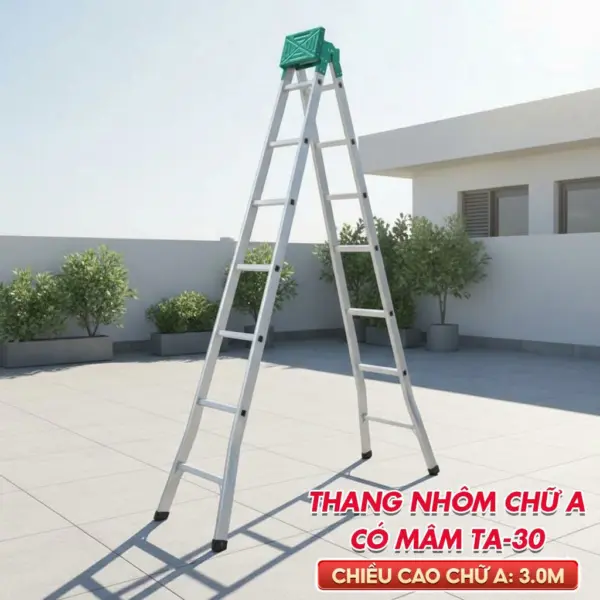 Thang nhôm chữ A phổ thông TA30 (3m)