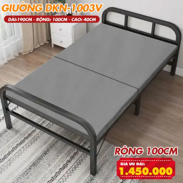 [Rộng 1M-Nệm Dày 3cm] Giường Ngủ Có Nệm Gấp Gọn DAKITA DKN - 1003V