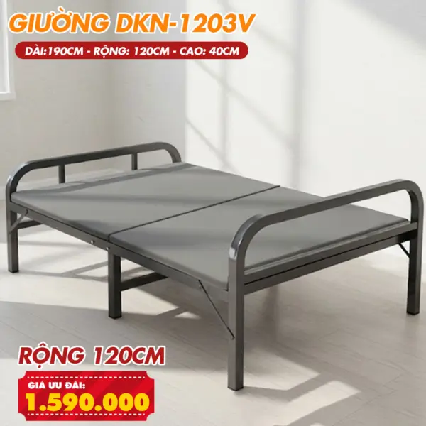 [Rộng 1.2M-Nệm Dày 3cm] Giường Ngủ Có Nệm Gấp Gọn DAKITA DKN - 1203V