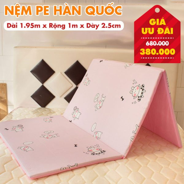 Nệm PE Hàn Quốc Giá Rẻ Nhiều Kích Thước - Màu Ngẫu Nhiên