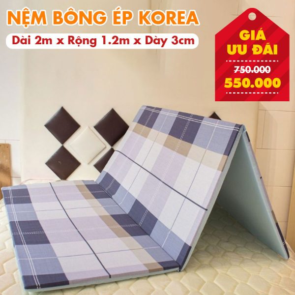 Nệm Bông Ép Giá Rẻ Nhiều Kích Thước - Màu Ngẫu Nhiên