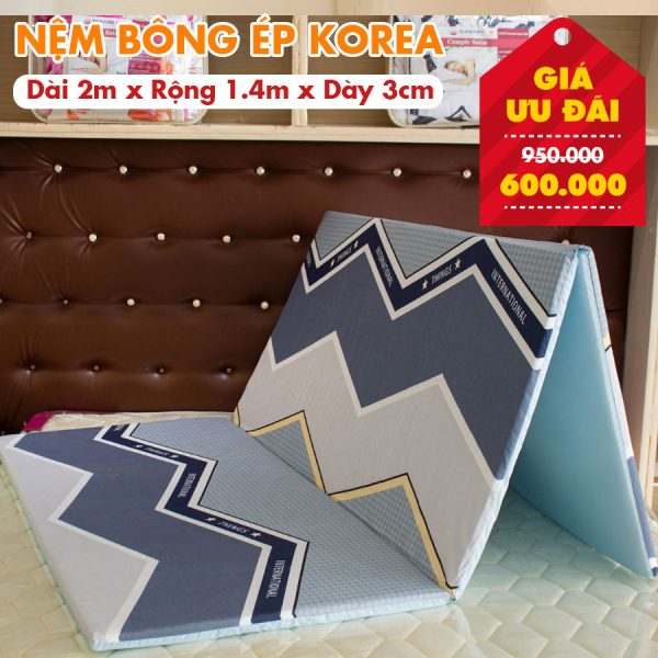 Nệm Bông Ép Giá Rẻ Nhiều Kích Thước - Màu Ngẫu Nhiên