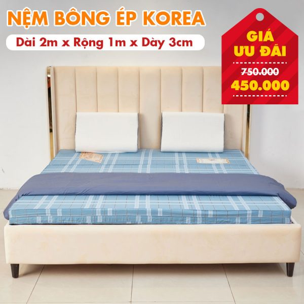 Nệm Bông Ép Giá Rẻ Nhiều Kích Thước - Màu Ngẫu Nhiên