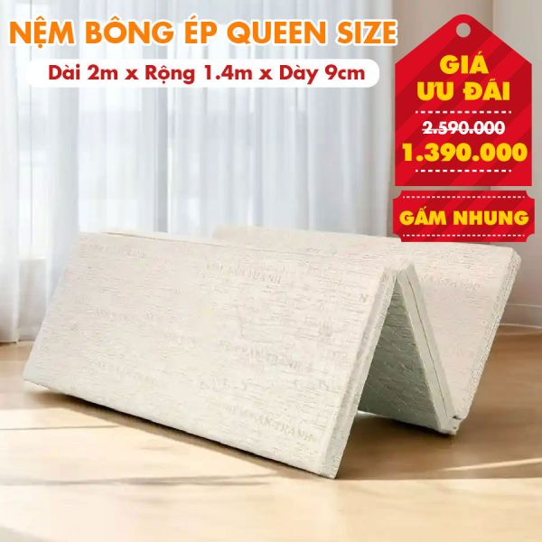 Nệm Bông Ép Queen Size - Màu Ngẫu Nhiên