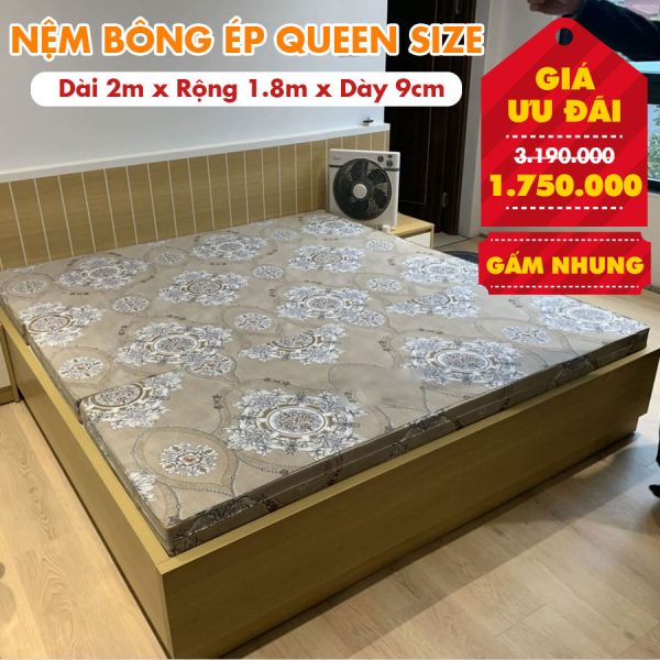 Nệm Bông Ép Queen Size - Màu Ngẫu Nhiên