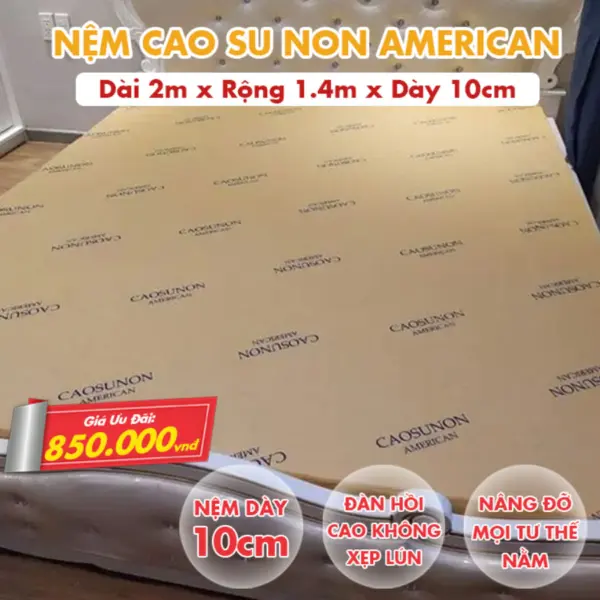Nệm Cao Su Non America - Độ Đàn Hồi Cao Không Xẹp Lún