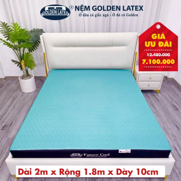 [Rộng 1.8m] Nệm Future Cool Memory Foam