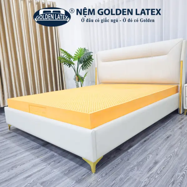 [Rộng 1.6m] Nệm Cao Su Thiên Nhiên Diamond Golden Latex