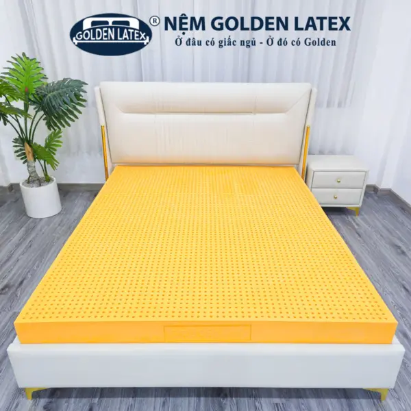 [Rộng 1.8m] Nệm Cao Su Thiên Nhiên Diamond Golden Latex