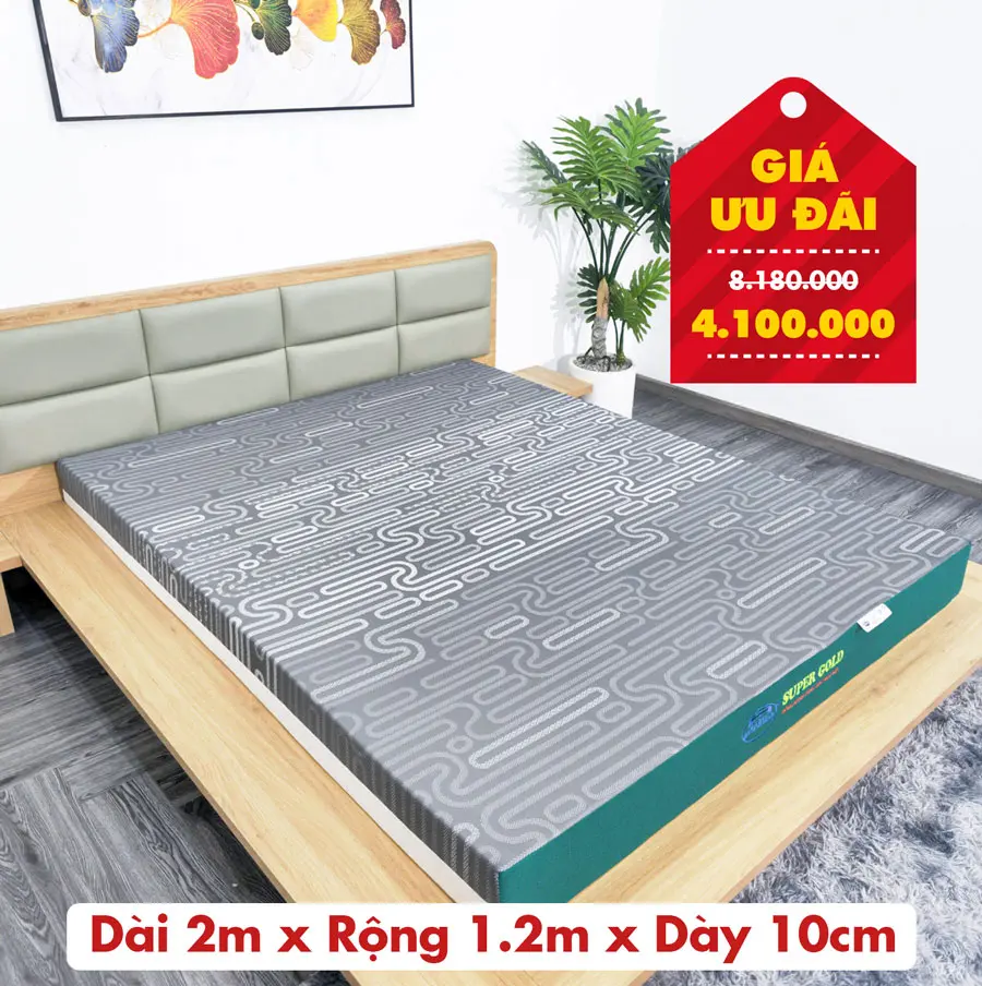 nem-cao-su-supper-gold-1m2-10cm