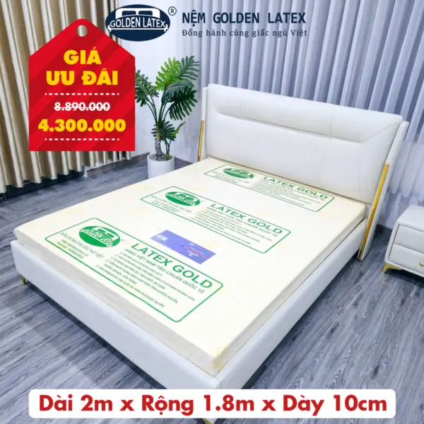 [Rộng 1.8m] Nệm Latex Gold Goden Latex