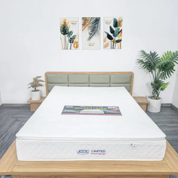 Nệm Lò Xo Túi Limited