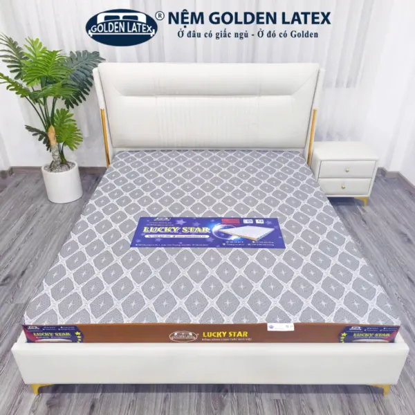 Nệm Foam Lucky Star Golden Latex
